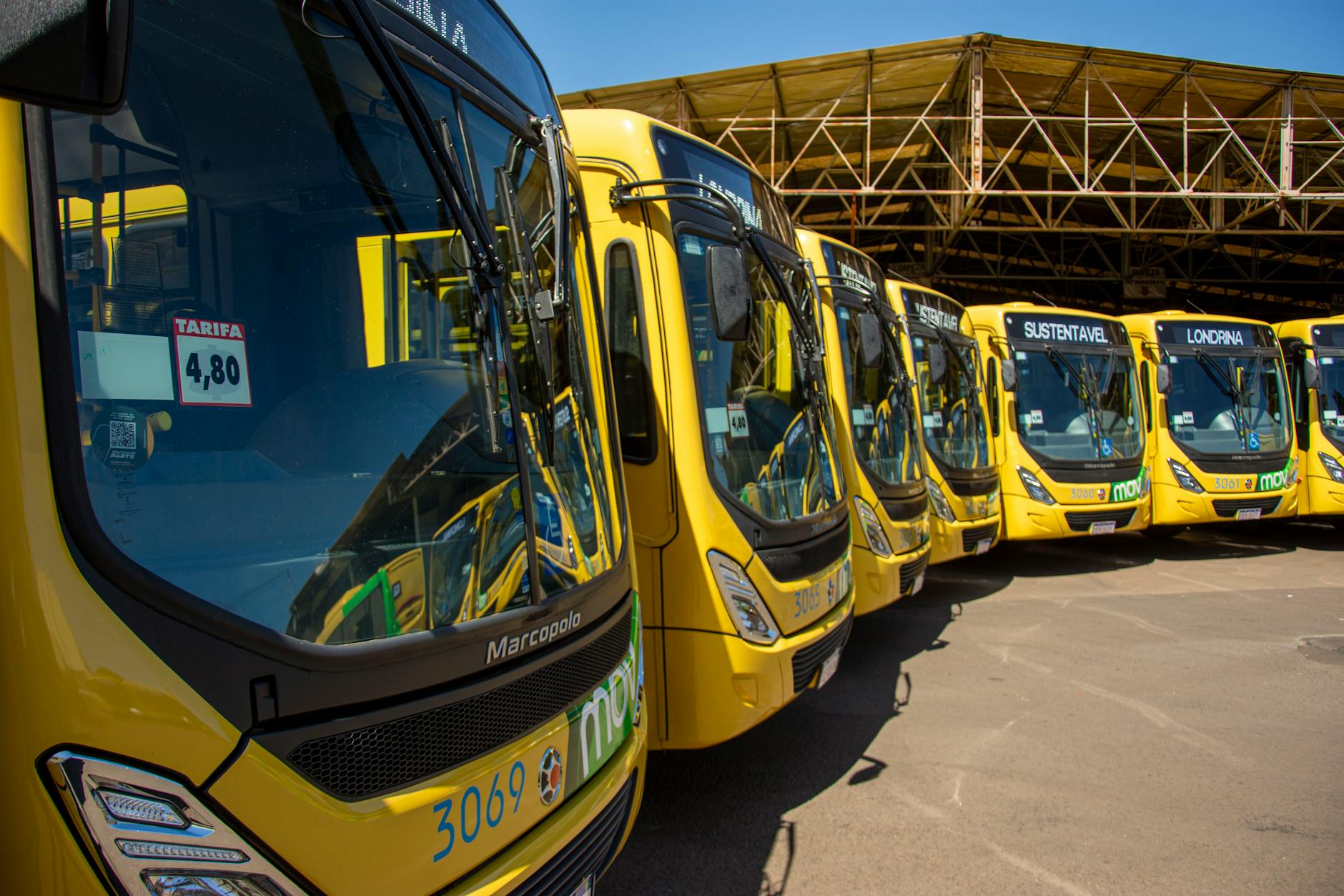 Yellow city buses lined up in an aesthetically pleasing way.